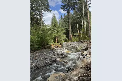10707 Thompson Creek Road, Deming, WA 98244 - Photo 2