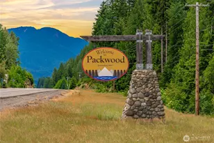146 Mt Rainier Dr, Packwood, WA 98361 - Photo 24