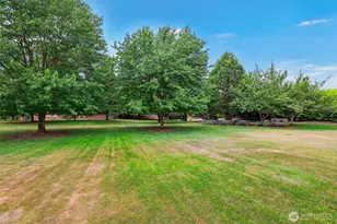 8118 20th Ln SE, Lacey, WA 98503 - Photo 38