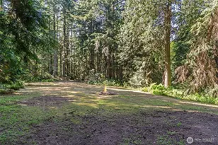 12930 SW 204th St, Vashon, WA 98070 - Photo 38