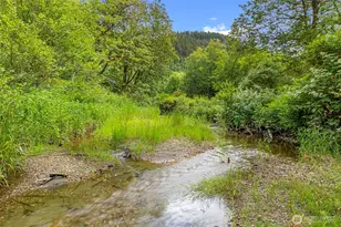 53665 White Falls Ct, Concrete, WA 98237 - Photo 14