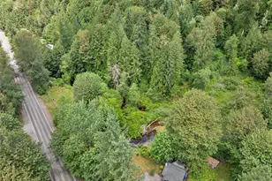 53665 White Falls Ct, Concrete, WA 98237 - Photo 38