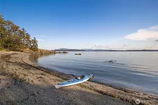 45 Stony Point, Friday Harbor, WA 98250 - Photo 38