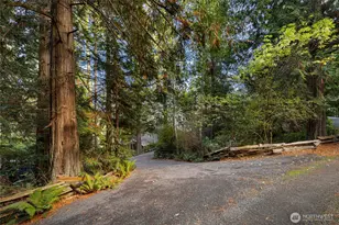 45 Stony Point, Friday Harbor, WA 98250 - Photo 34