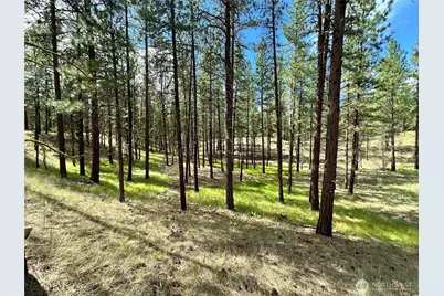 67 Larkspur Drive, Winthrop, WA 98862 - Photo 1