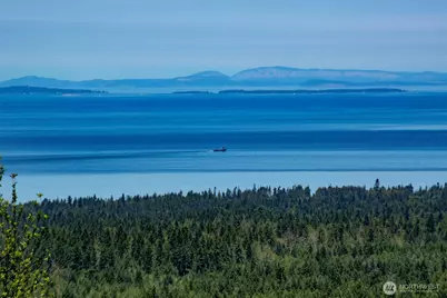 364 Maletti Hill Road, Port Angeles, WA 98362 - Photo 2