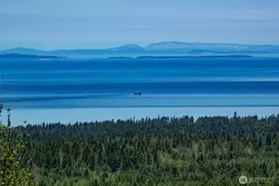 364 Maletti Hill Rd, Port Angeles, WA 98362 - Photo 2