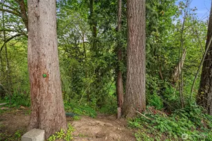 708 NE Eaton Ct, Castle Rock, WA 98611 - Photo 28