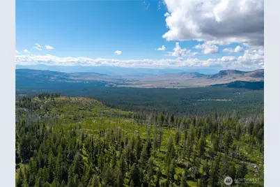 370 Thompson Road, Riverside, WA 98849 - Photo 40
