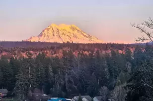32419 129th Ave E, Graham, WA 98338 - Photo 28