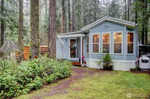 243 Schinn Canyon Ct, Deming, WA 98244 - Photo 2