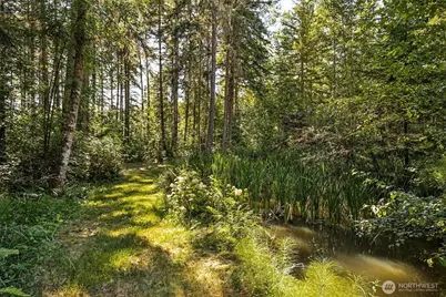 40402 66th Avenue E, Eatonville, WA 98328 - Photo 18