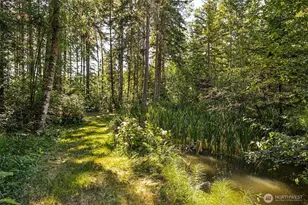 40402 66th Ave E, Eatonville, WA 98328 - Photo 18