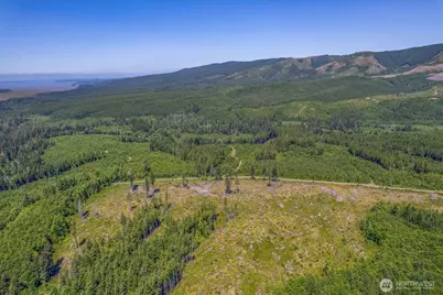 1 W Walberg Road, Chinook, WA 98614 - Photo 2