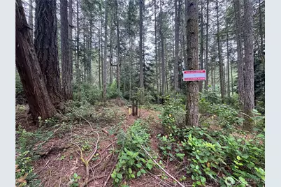 11308 114th Street Ct, Anderson Island, WA 98303 - Photo 6