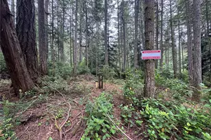 11308 114th St Ct, Anderson Island, WA 98303 - Photo 6