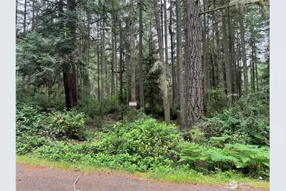 11308 114th Street Ct, Anderson Island, WA 98303 - Photo 1