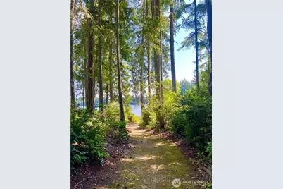 11308 114th Street Ct, Anderson Island, WA 98303 - Photo 4
