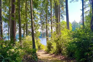 11308 114th St Ct, Anderson Island, WA 98303 - Photo 4