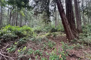 11308 114th St Ct, Anderson Island, WA 98303 - Photo 8