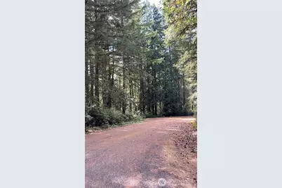 11308 114th Street Ct, Anderson Island, WA 98303 - Photo 2