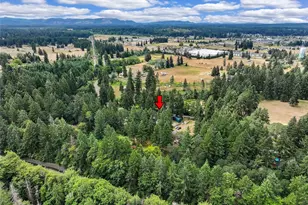 10314 Bridge Rd SE, Yelm, WA 98597 - Photo 36