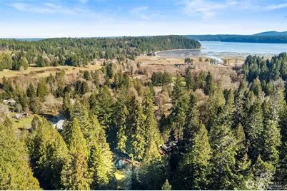 120 Ridge Road, Brinnon, WA 98320 - Photo 36