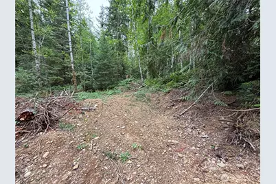 51 NE Rhody Lane, Tahuya, WA 98588 - Photo 2