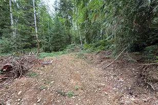 51 NE Rhody Ln, Tahuya, WA 98588 - Photo 2