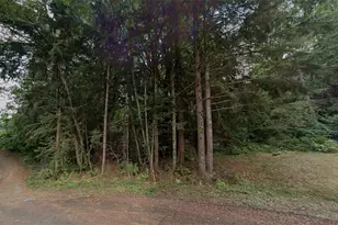 46 Mountain Trail Ct, Brinnon, WA 98320 - Photo 1