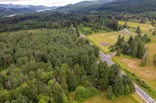 22204 State Route 706 E, Elbe, WA 98330 - Photo 32