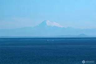 99 S Point Rd, Port Angeles, WA 98363 - Photo 2