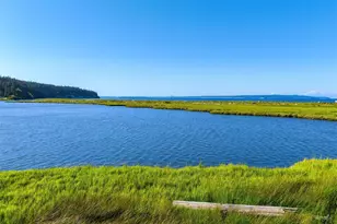 507 Race Rd, Coupeville, WA 98239 - Photo 14