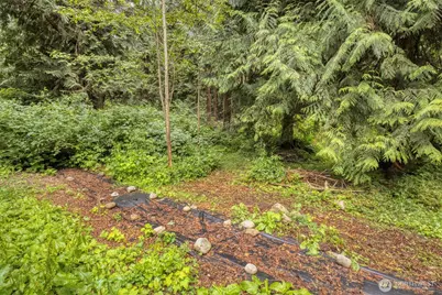 37841 Hansville Road NE, Hansville, WA 98340 - Photo 20