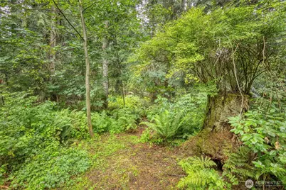 37841 Hansville Road NE, Hansville, WA 98340 - Photo 26