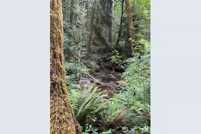 0 Nels Nelson Road NW, Bremerton, WA 98311 - Photo 4