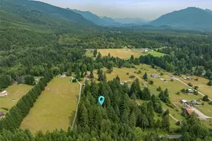 54611 E 278th Ave, Ashford, WA 98304 - Photo 22