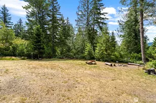 181 Lodgepole Ln, Cougar, WA 98616 - Photo 28