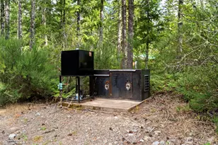 181 Lodgepole Ln, Cougar, WA 98616 - Photo 32