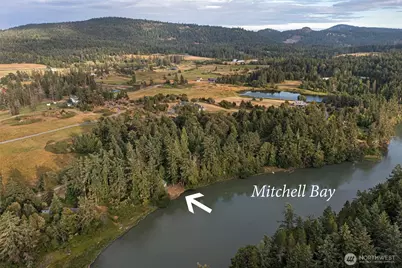 42 Kingfisher Lane, Friday Harbor, WA 98250 - Photo 4