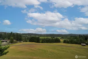 77 Rue Creek Rd, Menlo, WA 98577 - Photo 4