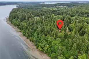 14025 96th Street Ct, Anderson Island, WA 98303 - Photo 10