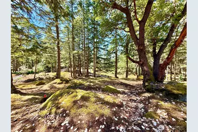 0 Kiya Way, Friday Harbor, WA 98250 - Photo 26