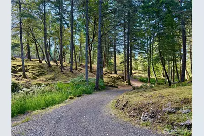 0 Kiya Way, Friday Harbor, WA 98250 - Photo 4