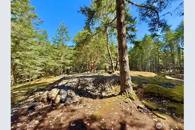 0 Kiya Way, Friday Harbor, WA 98250 - Photo 24