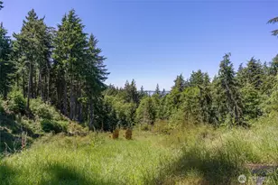 23 Tsuga Ln, Orcas Island, WA 98279 - Photo 1