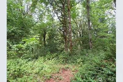 0 Lot 11 Valley View Drive, Mossyrock, WA 98564 - Photo 6