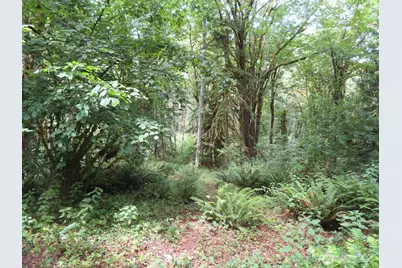 0 Lot 11 Valley View Drive, Mossyrock, WA 98564 - Photo 4
