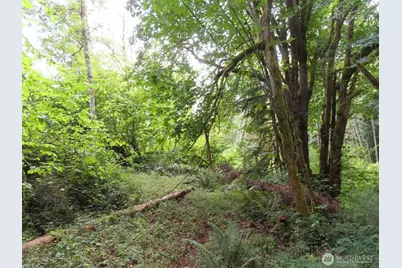 0 Lot 11 Valley View Drive, Mossyrock, WA 98564 - Photo 2