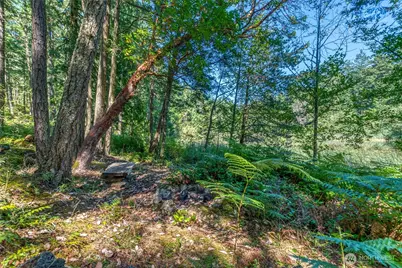 230 Serendipity Lane, Orcas Island, WA 98243 - Photo 30